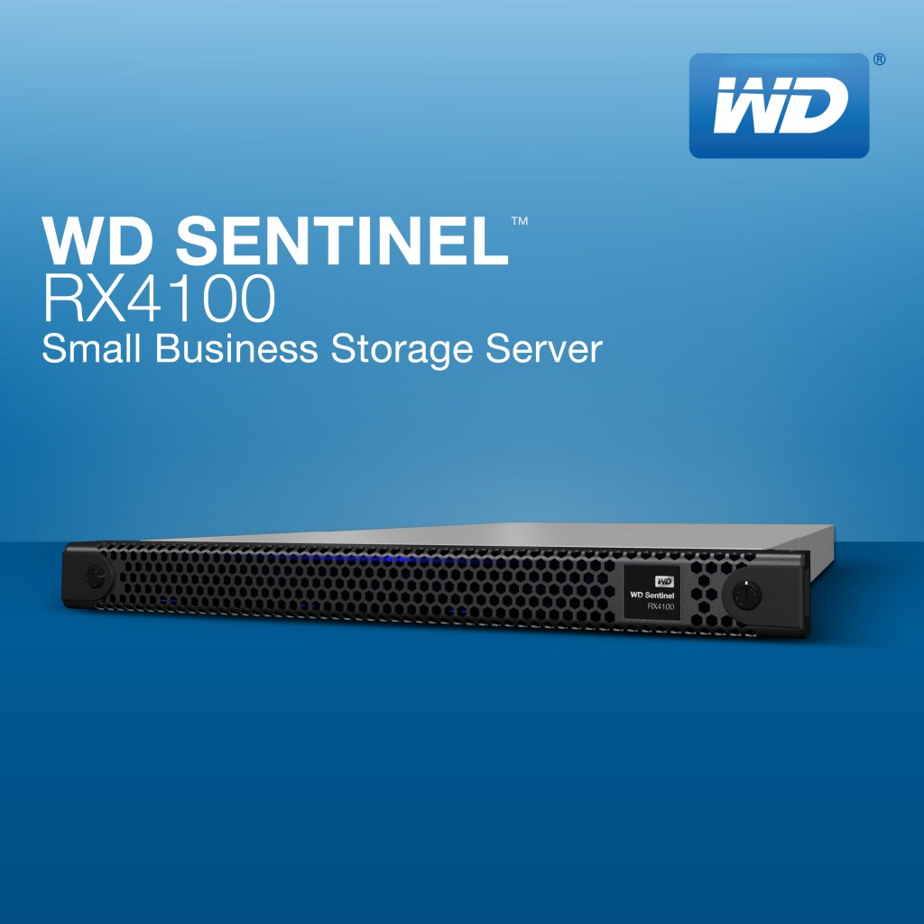 WD Sentinel RX4100-1