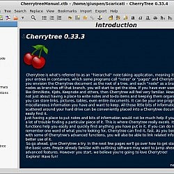 Cherrytree - TeknoSeyir